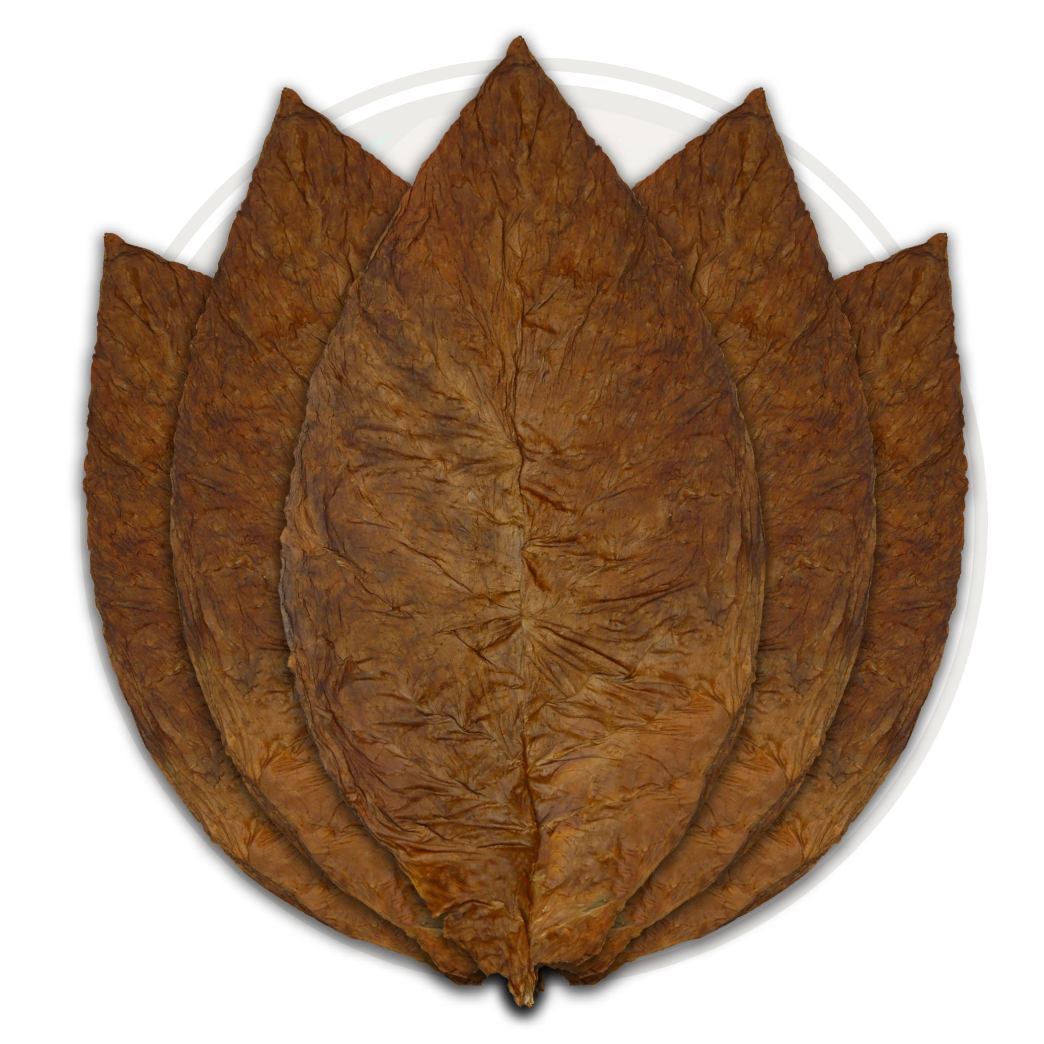 CT Broadleaf Cigar Wrapper - 1LS